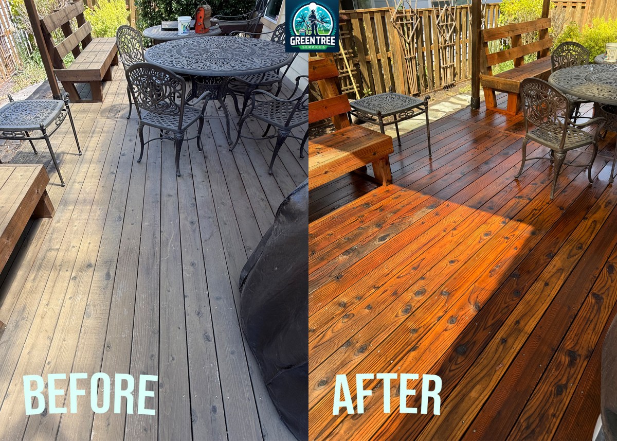 Cedar deck before and after a full restoration in Albany