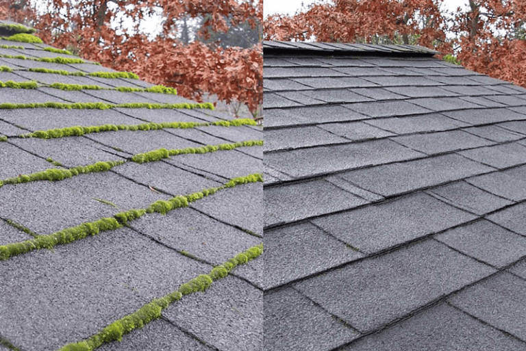GreenTree Services roof moss removal by soft washing on an Oregon home