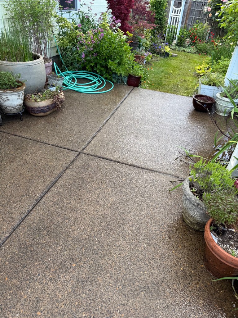 Exposed aggregate concrete patio after pressure washing, with potted plants and a coiled green garden hose