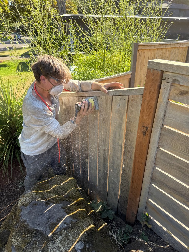 GreenTree technician restoring a weathered gray wood deck railing