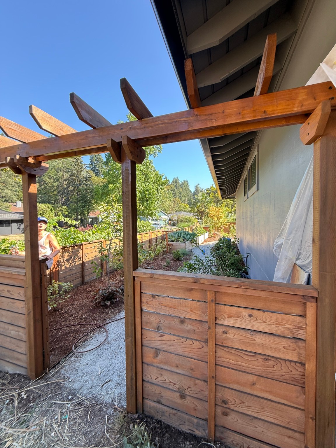 Cleaned cedar deck and pergola looking out over a garden