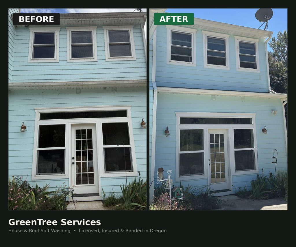 Before and after house and roof soft washing in Albany
