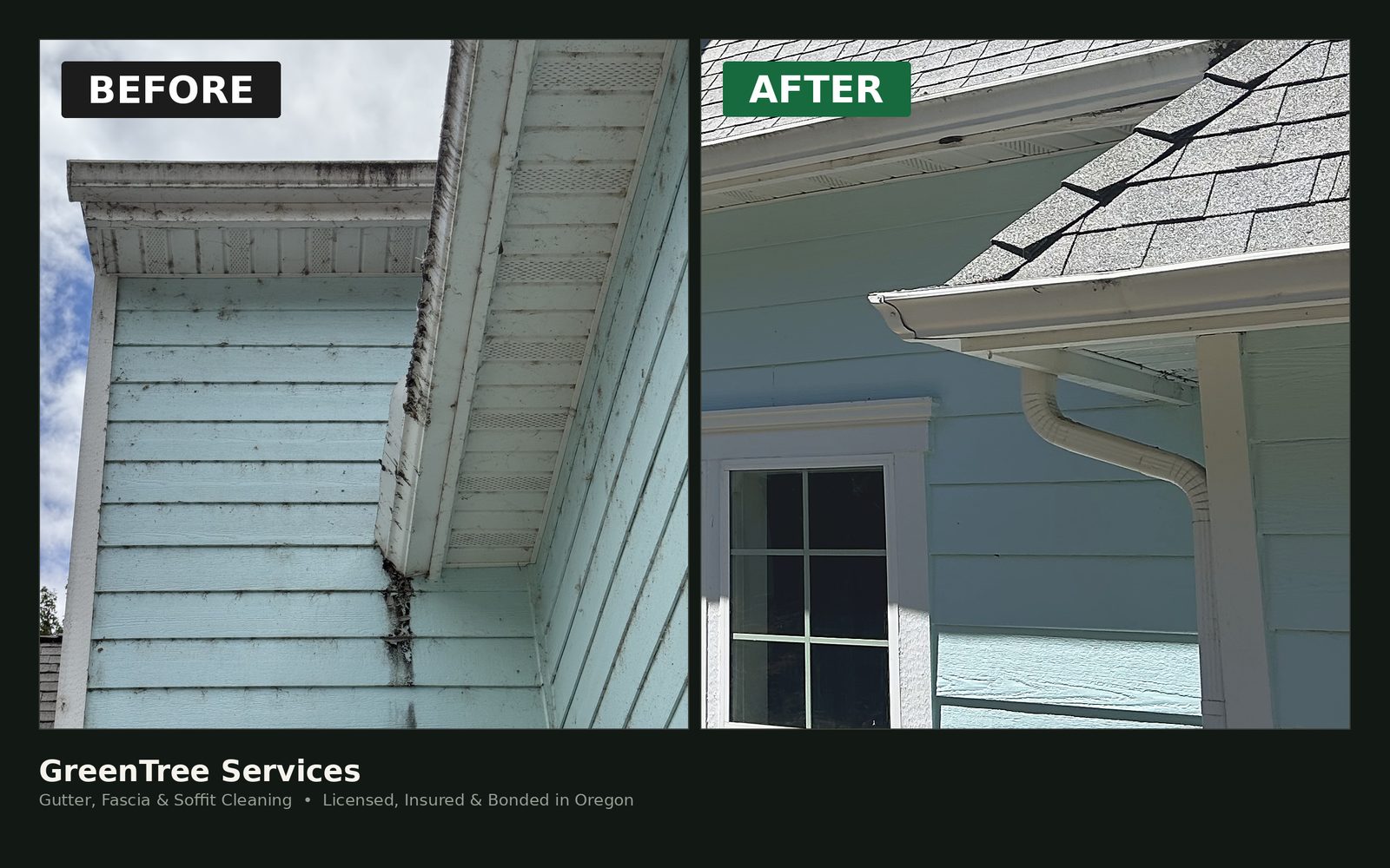 Gutter cleaning Albany Oregon, cleared trough and wiped fascia after a GreenTree visit