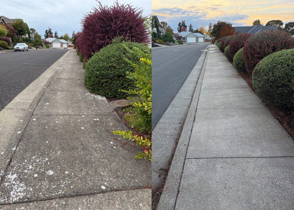 Pressure washing prices example: a Corvallis sidewalk before and after pressure washing