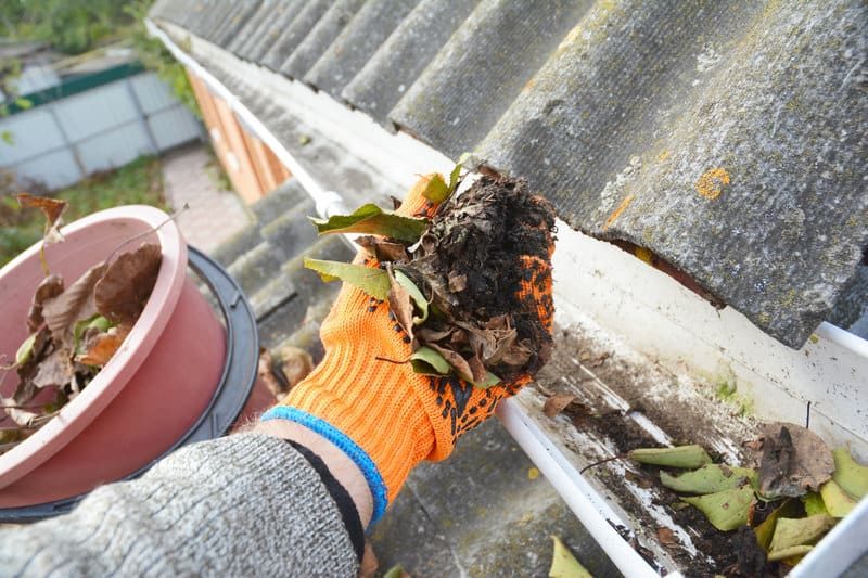 Professional gutter cleaning || Oregon