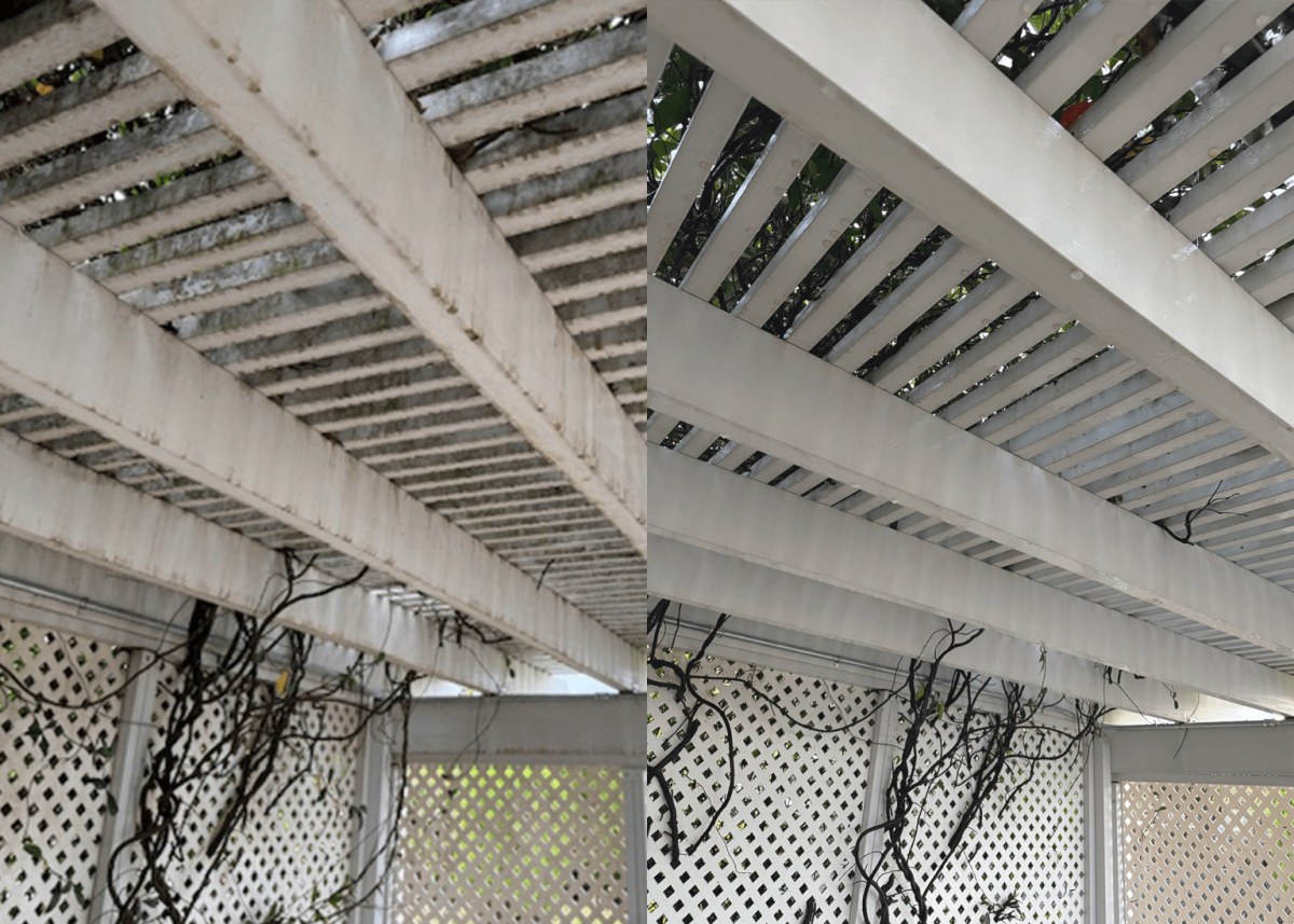 Before and after soft washing an algae-covered white pergola and lattice trellis in Corvallis, Oregon