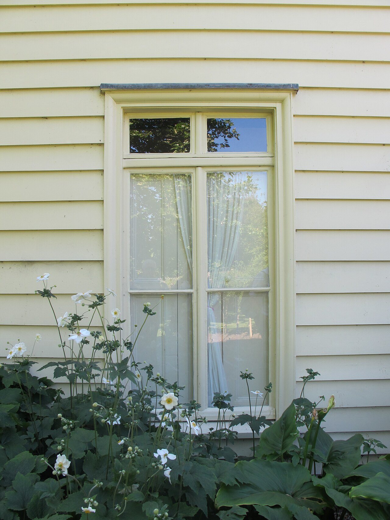 Cream clapboard siding around a tall window above a flower bed
