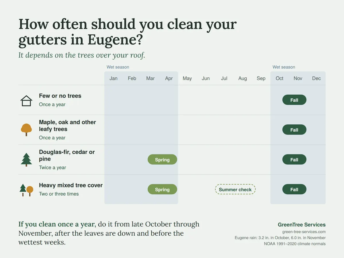 Gutter cleaning schedule for Eugene homes: once a year in fall with few trees or leafy trees, fall and spring under fir, cedar or pine, and up to three times a year under heavy mixed tree cover