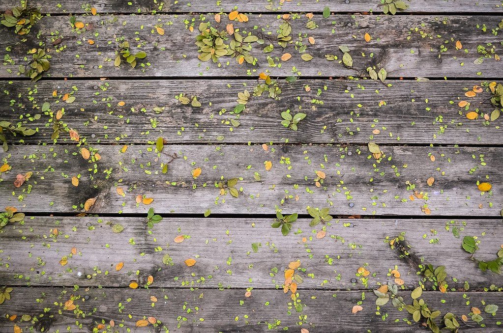 Gray weathered wood deck boards with dark stains and fallen leaves